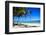 Tropical Beach with Beautiful Palms-pashapixel-Framed Photographic Print