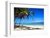 Tropical Beach with Beautiful Palms-pashapixel-Framed Photographic Print