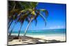 Tropical Beach with Beautiful Palms-pashapixel-Mounted Photographic Print