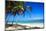 Tropical Beach with Beautiful Palms-pashapixel-Mounted Photographic Print