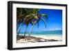 Tropical Beach with Beautiful Palms-pashapixel-Framed Photographic Print