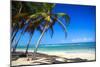 Tropical Beach with Beautiful Palms-pashapixel-Mounted Photographic Print