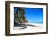 Tropical Beach with Beautiful Palms-pashapixel-Framed Photographic Print