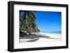 Tropical Beach with Beautiful Palms-pashapixel-Framed Photographic Print