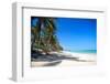 Tropical Beach with Beautiful Palms-pashapixel-Framed Photographic Print