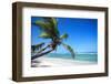 Tropical Beach with Beautiful Palms-pashapixel-Framed Photographic Print