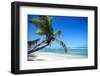 Tropical Beach with Beautiful Palms-pashapixel-Framed Photographic Print