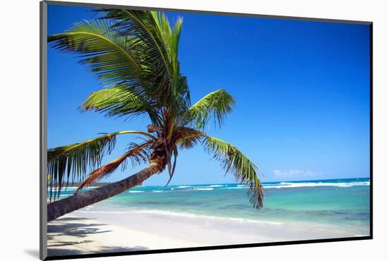 Tropical Beach with Beautiful Palms-pashapixel-Mounted Photographic Print