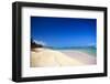 Tropical Beach with Beautiful Palms-pashapixel-Framed Photographic Print