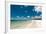 Tropical Beach with Blue Sky and White Sand-Will Wilkinson-Framed Photographic Print