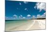 Tropical Beach with Blue Sky and White Sand-Will Wilkinson-Mounted Photographic Print