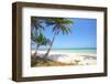 Tropical Beach with Coconut Palm-Hydromet-Framed Photographic Print