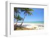 Tropical Beach with Coconut Palm-Hydromet-Framed Photographic Print