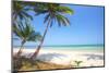 Tropical Beach with Coconut Palm-Hydromet-Mounted Photographic Print