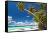 Tropical Beach with Palm and White Sand-pashapixel-Framed Stretched Canvas