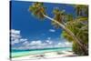 Tropical Beach with Palm and White Sand-pashapixel-Stretched Canvas