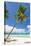 Tropical Beach with Palm and White Sand-pashapixel-Stretched Canvas