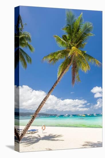 Tropical Beach with Palm and White Sand-pashapixel-Stretched Canvas