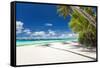 Tropical Beach with Palm and White Sand-pashapixel-Framed Stretched Canvas