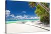 Tropical Beach with Palm and White Sand-pashapixel-Stretched Canvas