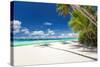 Tropical Beach with Palm and White Sand-pashapixel-Stretched Canvas