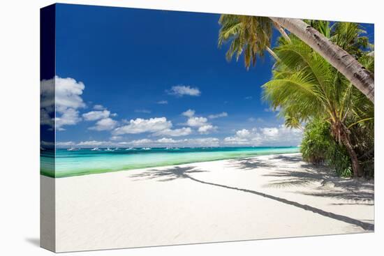 Tropical Beach with Palm and White Sand-pashapixel-Stretched Canvas