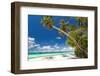 Tropical Beach with Palm and White Sand-pashapixel-Framed Photographic Print