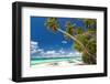 Tropical Beach with Palm and White Sand-pashapixel-Framed Photographic Print