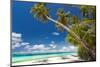 Tropical Beach with Palm and White Sand-pashapixel-Mounted Photographic Print