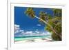 Tropical Beach with Palm and White Sand-pashapixel-Framed Photographic Print