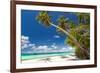 Tropical Beach with Palm and White Sand-pashapixel-Framed Photographic Print