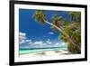 Tropical Beach with Palm and White Sand-pashapixel-Framed Photographic Print