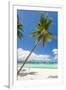 Tropical Beach with Palm and White Sand-pashapixel-Framed Photographic Print