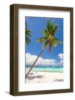 Tropical Beach with Palm and White Sand-pashapixel-Framed Photographic Print