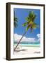 Tropical Beach with Palm and White Sand-pashapixel-Framed Photographic Print