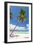 Tropical Beach with Palm and White Sand-pashapixel-Framed Photographic Print