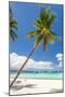 Tropical Beach with Palm and White Sand-pashapixel-Mounted Photographic Print