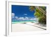 Tropical Beach with Palm and White Sand-pashapixel-Framed Photographic Print