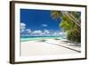 Tropical Beach with Palm and White Sand-pashapixel-Framed Photographic Print