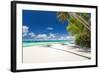 Tropical Beach with Palm and White Sand-pashapixel-Framed Photographic Print