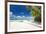 Tropical Beach with Palm and White Sand-pashapixel-Framed Photographic Print