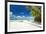 Tropical Beach with Palm and White Sand-pashapixel-Framed Photographic Print