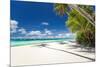 Tropical Beach with Palm and White Sand-pashapixel-Mounted Photographic Print