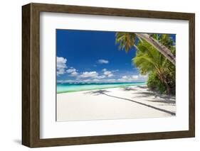 Tropical Beach with Palm and White Sand-pashapixel-Framed Photographic Print