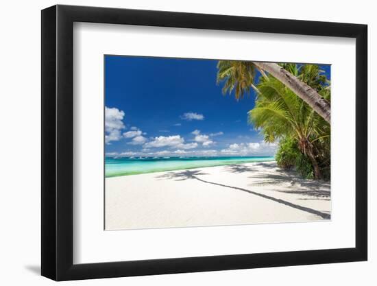 Tropical Beach with Palm and White Sand-pashapixel-Framed Photographic Print