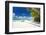 Tropical Beach with Palm and White Sand-pashapixel-Framed Photographic Print