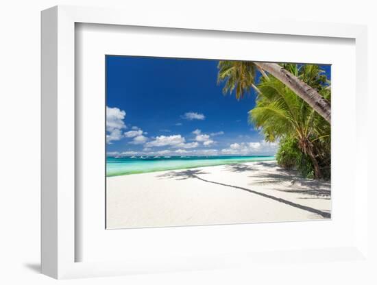Tropical Beach with Palm and White Sand-pashapixel-Framed Photographic Print