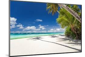 Tropical Beach with Palm and White Sand-pashapixel-Mounted Photographic Print