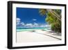 Tropical Beach with Palm and White Sand-pashapixel-Framed Photographic Print