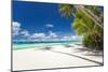 Tropical Beach with Palm and White Sand-pashapixel-Mounted Photographic Print